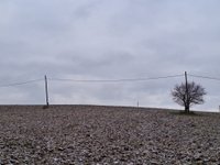 Prodej pozemku v lokalitě Svinošice, okres Blansko | Realitní kancelář Blansko
