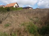 Prodej pozemku v lokalitě Bystřice nad Pernštejnem, okres Žďár nad Sázavou | Realitní kancelář Blansko