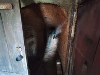 Prodej ostatní nemovitosti v lokalitě Prosiměřice, okres Znojmo | Realitní kancelář Znojmo