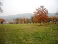 Prodej pozemku v lokalitě Brno, okres Brno - obrázek č. 3