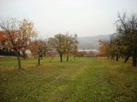 Prodej pozemku v lokalitě Brno, okres Brno - obrázek č. 2