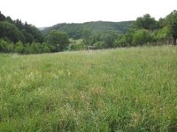 Prodej pozemku v lokalitě Boskovice, okres Blansko - obrázek č. 3
