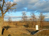 Prodej pozemku v lokalitě Malešovice, okres Brno-venkov - obrázek č. 3