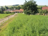 Prodej pozemku v lokalitě Kovalovice, okres Brno-venkov | Realitní kancelář Brno