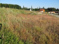 Prodej pozemku v lokalitě Bukovice, okres Brno-venkov - obrázek č. 2