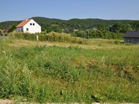Prodej pozemku v lokalitě Račice-Pístovice, okres Vyškov - obrázek č. 2