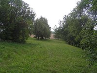 Prodej pozemku v lokalitě Rozsíčka, okres Blansko - obrázek č. 3