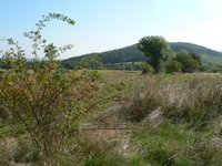 Prodej pozemku v lokalitě Omice, okres Brno-venkov - obrázek č. 3