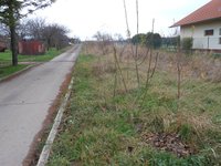 Prodej pozemku v lokalitě Syrovice, okres Brno-venkov - obrázek č. 5