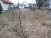 Prodej pozemku v lokalitě Syrovice, okres Brno-venkov - obrázek č. 2