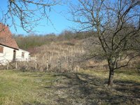 Prodej pozemku v lokalitě Hustopeče, okres Břeclav - obrázek č. 7