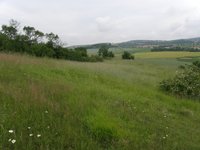 Prodej pozemku v lokalitě Kovalovice, okres Brno-venkov - obrázek č. 3