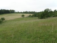 Prodej pozemku v lokalitě Kovalovice, okres Brno-venkov - obrázek č. 4