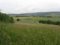 Prodej pozemku v lokalitě Kovalovice, okres Brno-venkov - obrázek č. 2
