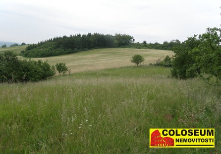 Prodej pozemku v lokalitě Kovalovice, okres Brno-venkov - obrázek č. 1