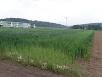 Prodej pozemku v lokalitě Drásov, okres Brno-venkov - obrázek č. 2