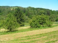Prodej pozemku v lokalitě Jimramov, okres Žďár nad Sázavou - obrázek č. 2