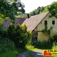 Paní Petra je milá, ochotná, pohodová a pracovitá.  Coloseum doporučují všem. - obrázek č. 2