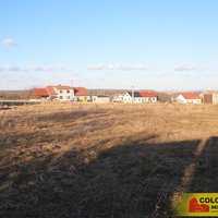 S Coloseem jsem velmi spokojen, protože jejich makléři mají velmi profesionální přístup. - obrázek č. 3