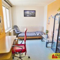 Realitní kancelář Coloseum mohu více než doporučit. - obrázek č. 2