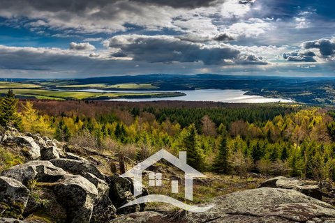 shutterstock_1593474892
