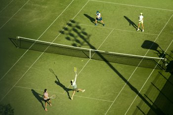Tenis