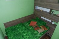 DSCN7285