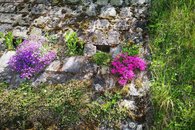 IMG_20200430_123431
