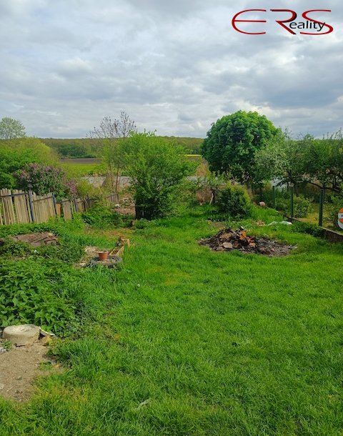IMG20230510160448