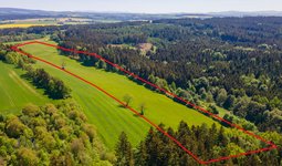 Prodej pozemku - trvalý travní porost, 65 181 m² - Javornice