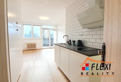 roman-mikita-realitni-makler-flexireality-frydek-mistek-pronajem-byt-1+kk