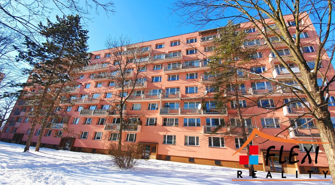 roman-mikita-realitni-makler-flexireality-frydek-mistek-pronajem-byt-1+1