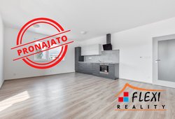 roman-mikita-realitni-makler-flexireality-frydek-mistek-novostavba-pronajem-byt-4+kk-balkon-garaz