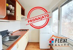 roman-mikita-realitni-makler-flexireality-frydek-mistek-pronajem-byt-1+1