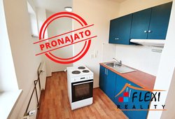 roman-mikita-realitni-makler-flexireality-frydek-mistek-pronajem-byt-1+1