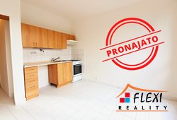 roman-mikita-realitni-makler-flexireality-frydek-mistek-pronajem-byt-1+1
