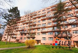 roman-mikita-realitni-makler-flexireality-frydek-mistek-pronajem-byt-1+1