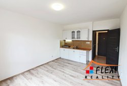 roman-mikita-realitni-makler-flexireality-frydek-mistek-pronajem-byt-1+kk