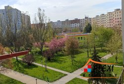 IMG_20230428_111042