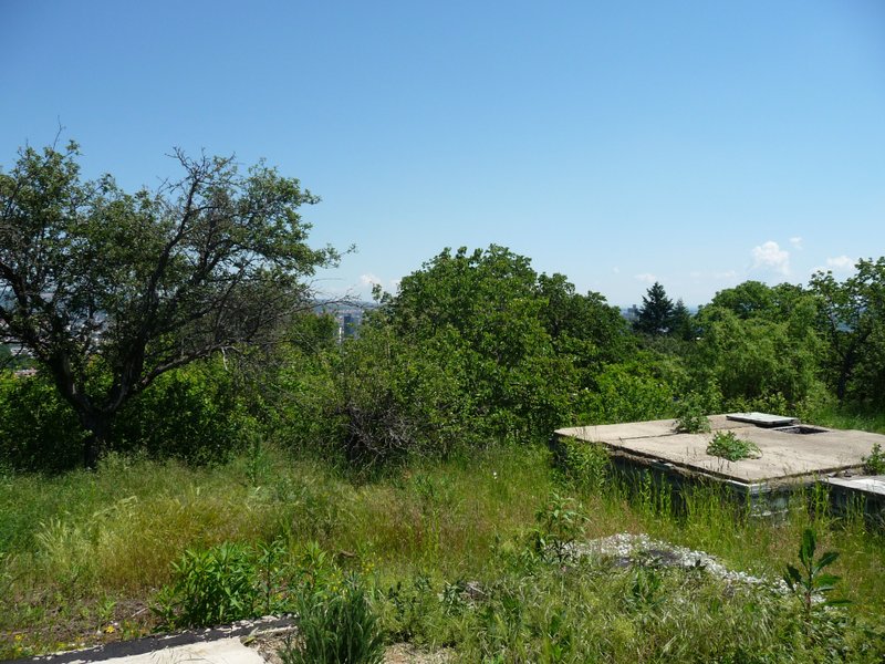 P1080320