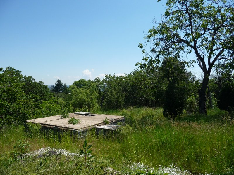 P1080319