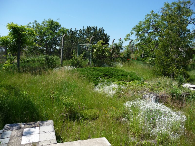 P1080318