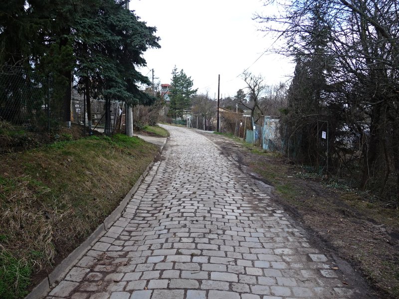 P1080249