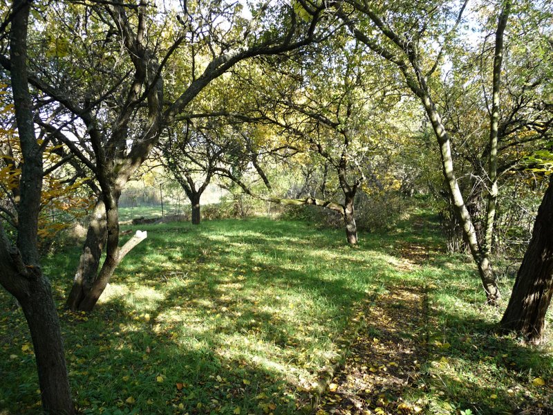 P1080380