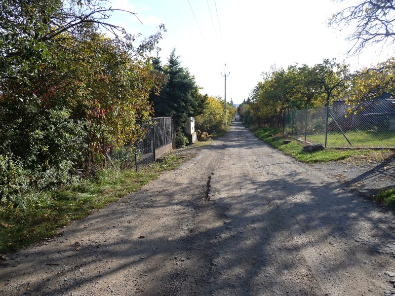 P1080383
