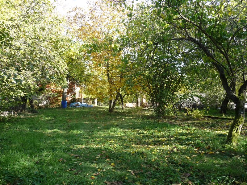 P1080381