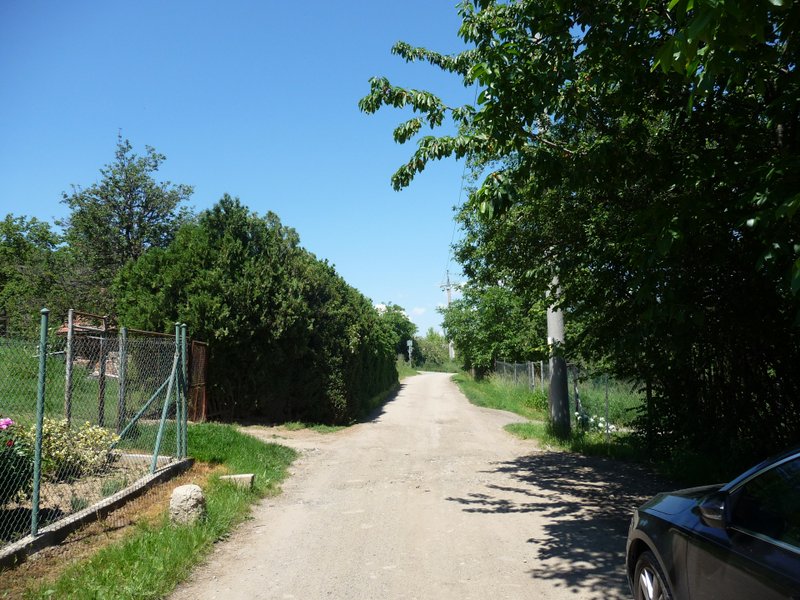 P1080336