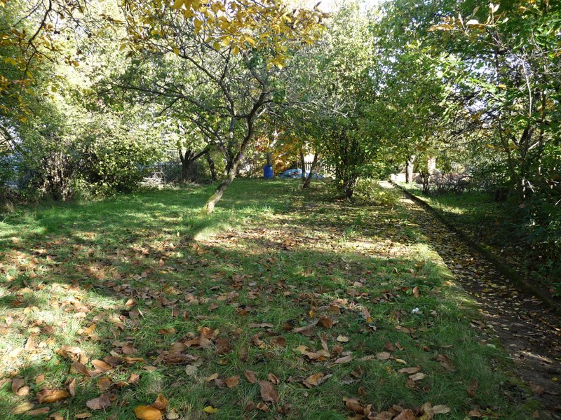 P1080382