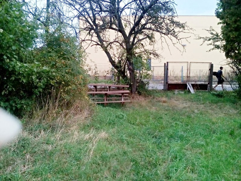 IMG-9d27e6fb44d954e0cc908fe9e2fe4cdd-V