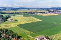 DJI_0558